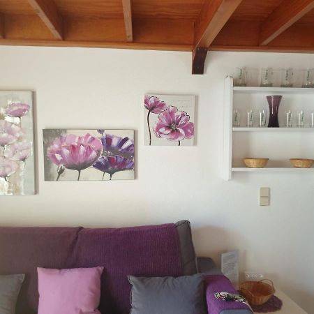 Relax A 10 Minuti Da Corralejo Villa Parque Holandes Eksteriør billede