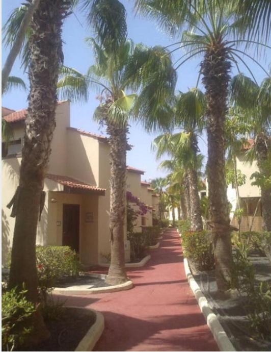 Relax A 10 Minuti Da Corralejo Villa Parque Holandes Eksteriør billede
